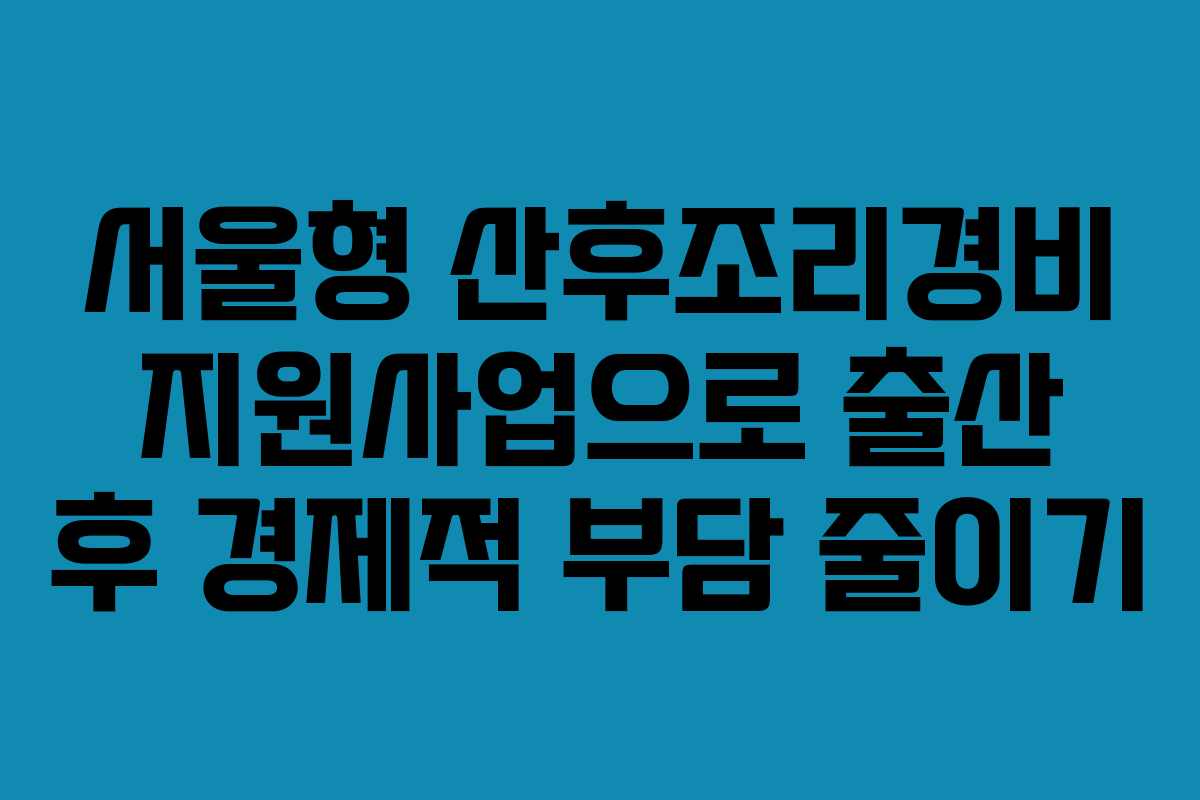 서울형 산후조리경비 지원사업으로 출산 후 경제적 부담 줄이기