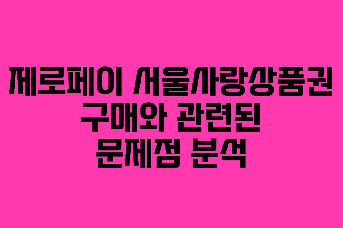 제로페이 서울사랑상품권 구매와 관련된 문제점 분석