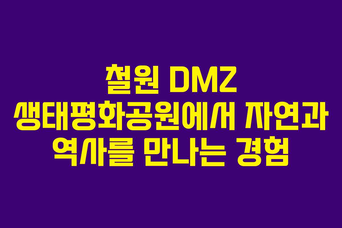 철원 DMZ 생태평화공원에서 자연과 역사를 만나는 경험