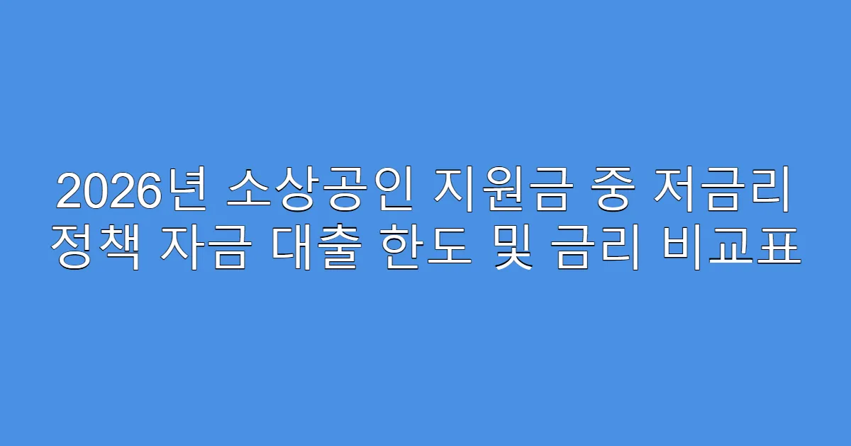 2026년 소상공인 지원금 중 저금리 정책 자금 대출 한도 및 금리 비교표
