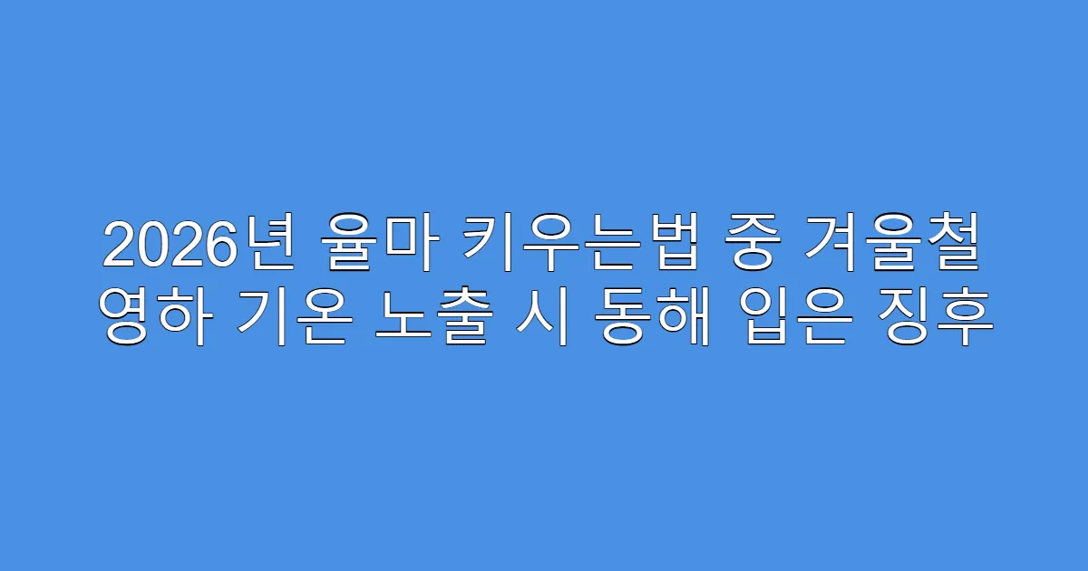 2026년 율마 키우는법 중 겨울철 영하 기온 노출 시 동해 입은 징후