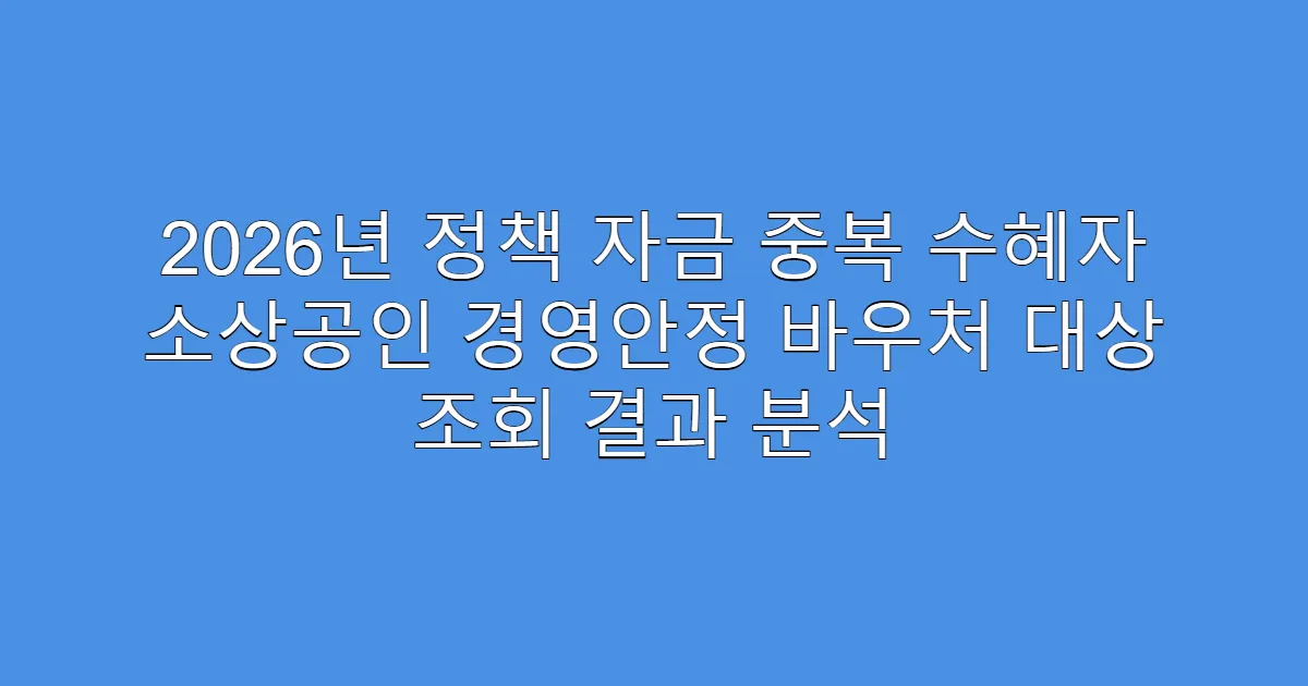 2026년 정책 자금 중복 수혜자 소상공인 경영안정 바우처 대상 조회 결과 분석