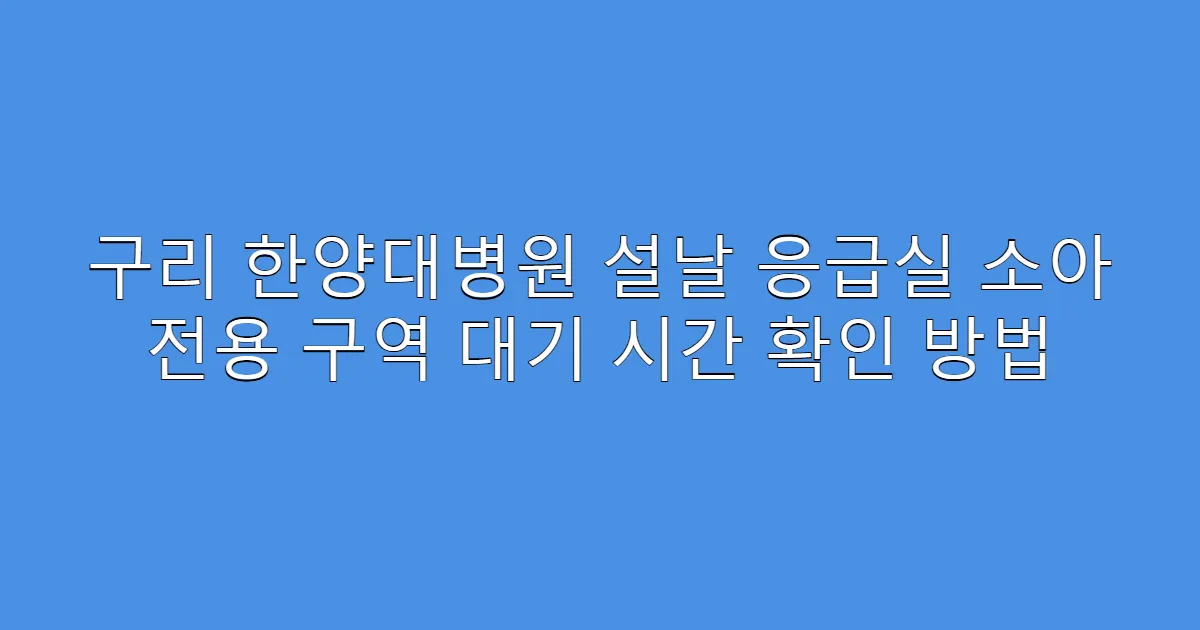 구리 한양대병원 설날 응급실 소아 전용 구역 대기 시간 확인 방법