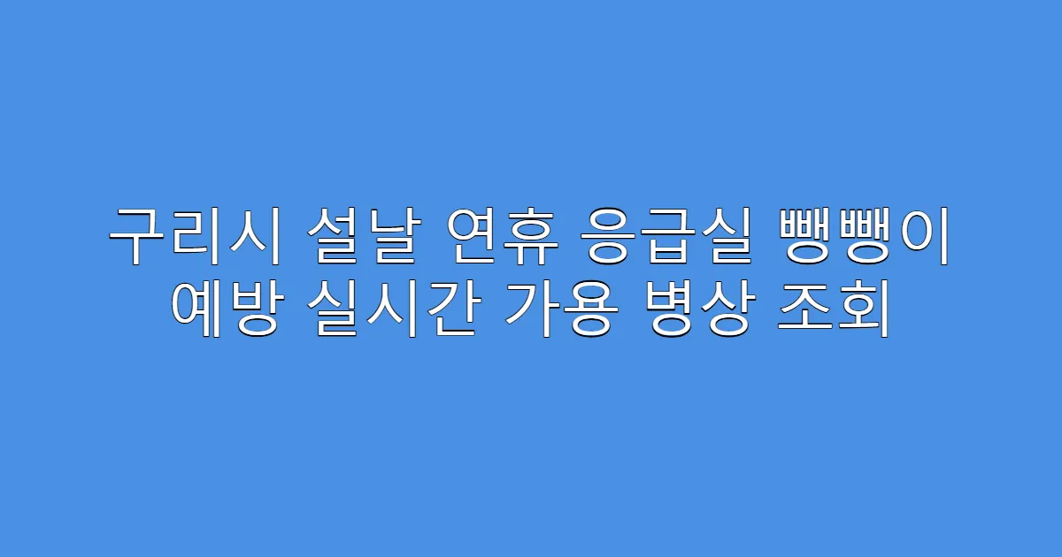구리시 설날 연휴 응급실 뺑뺑이 예방 실시간 가용 병상 조회