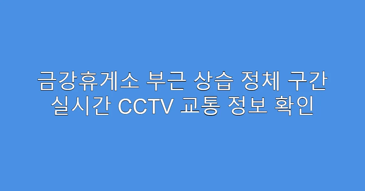 금강휴게소 부근 상습 정체 구간 실시간 CCTV 교통 정보 확인