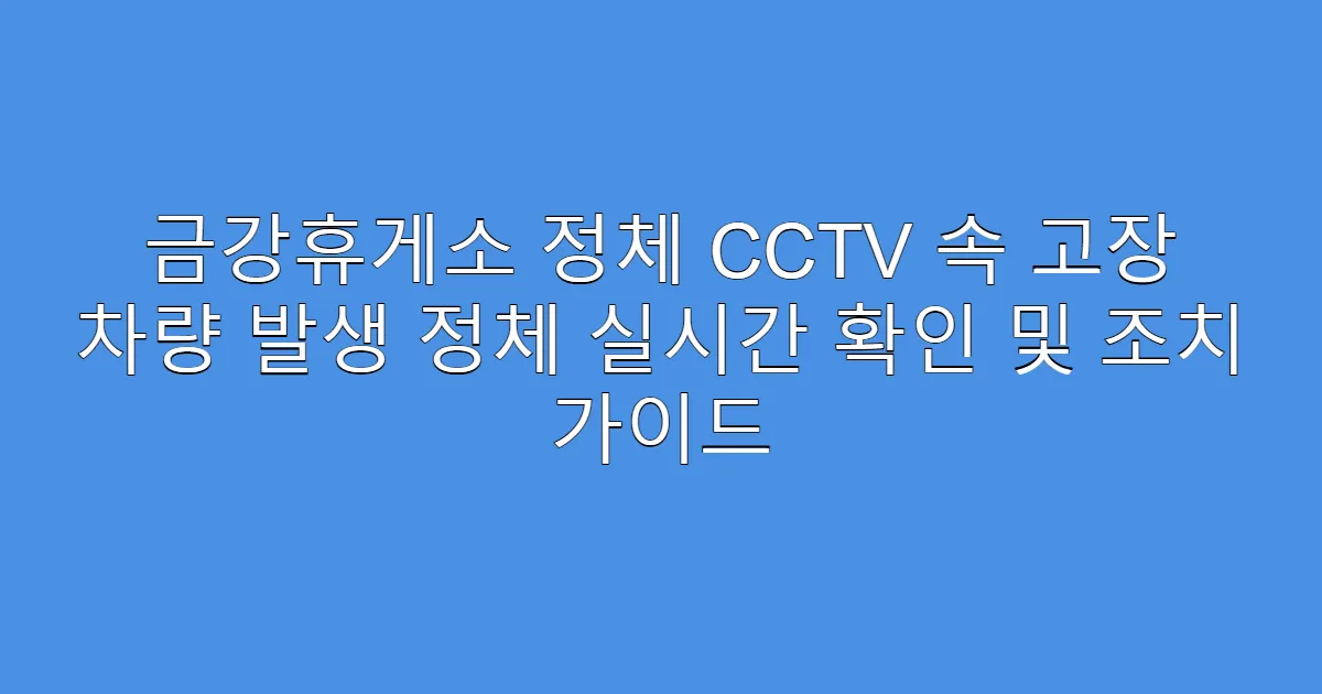 금강휴게소 정체 CCTV 속 고장 차량 발생 정체 실시간 확인 및 조치 가이드