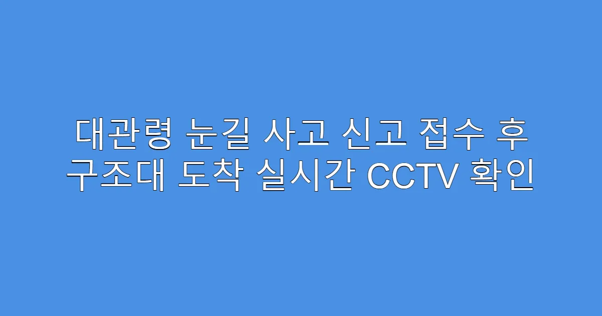 대관령 눈길 사고 신고 접수 후 구조대 도착 실시간 CCTV 확인