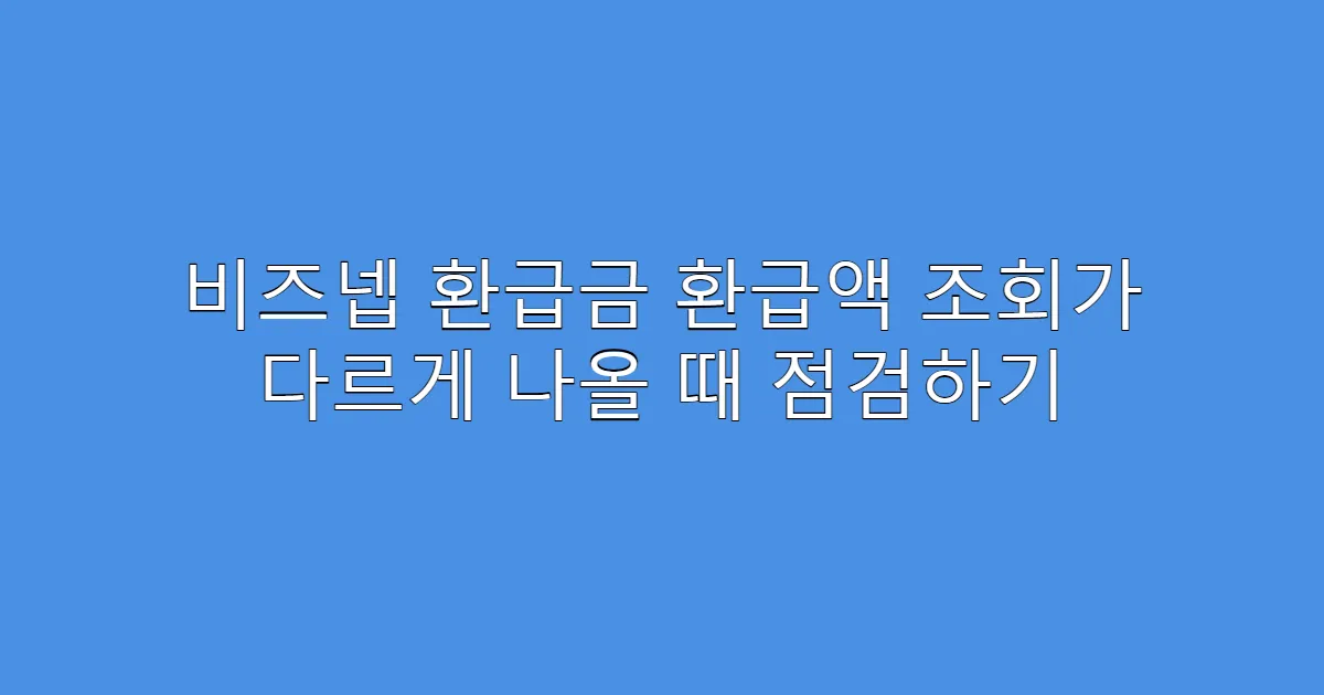 비즈넵 환급금 환급액 조회가 다르게 나올 때 점검하기
