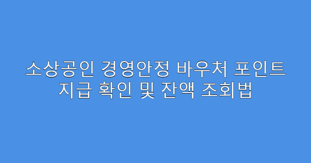 소상공인 경영안정 바우처 포인트 지급 확인 및 잔액 조회법