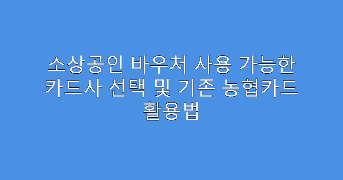 소상공인 바우처 사용 가능한 카드사 선택 및 기존 농협카드 활용법