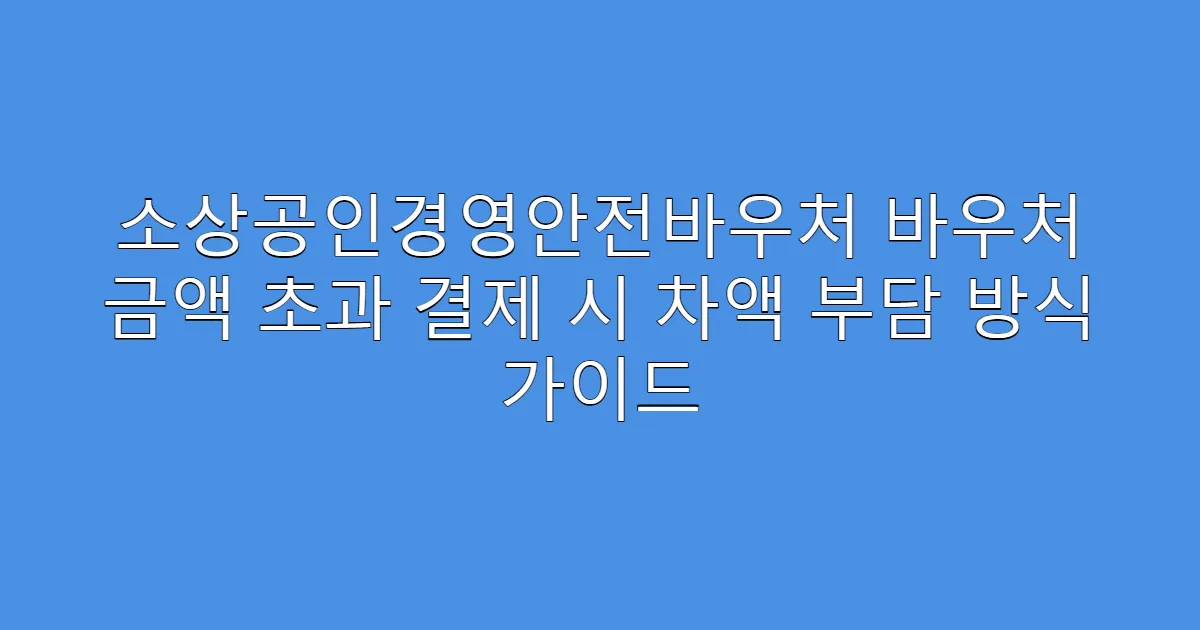소상공인경영안전바우처 바우처 금액 초과 결제 시 차액 부담 방식 가이드