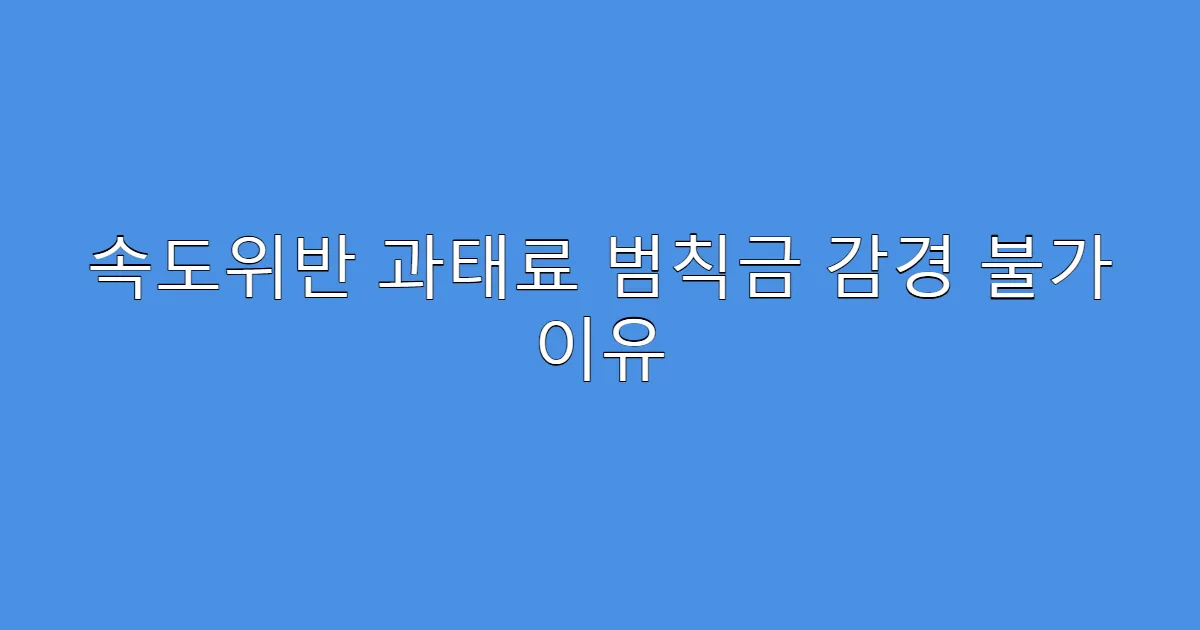 속도위반 과태료 범칙금 감경 불가 이유