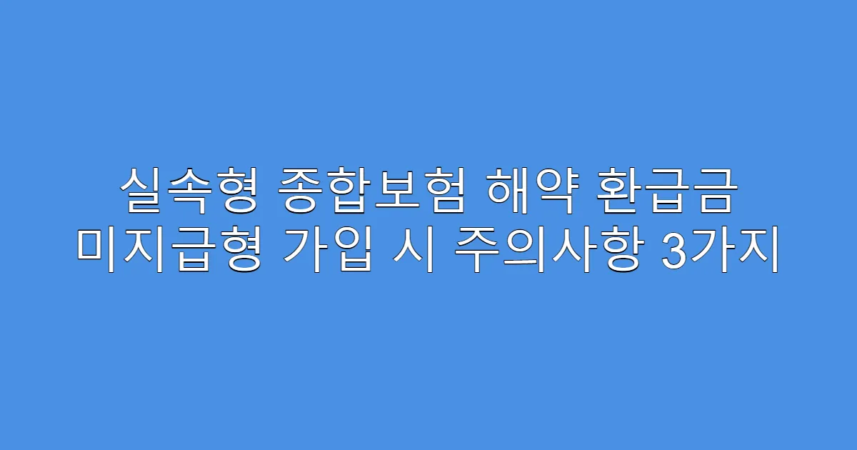 실속형 종합보험 해약 환급금 미지급형 가입 시 주의사항 3가지