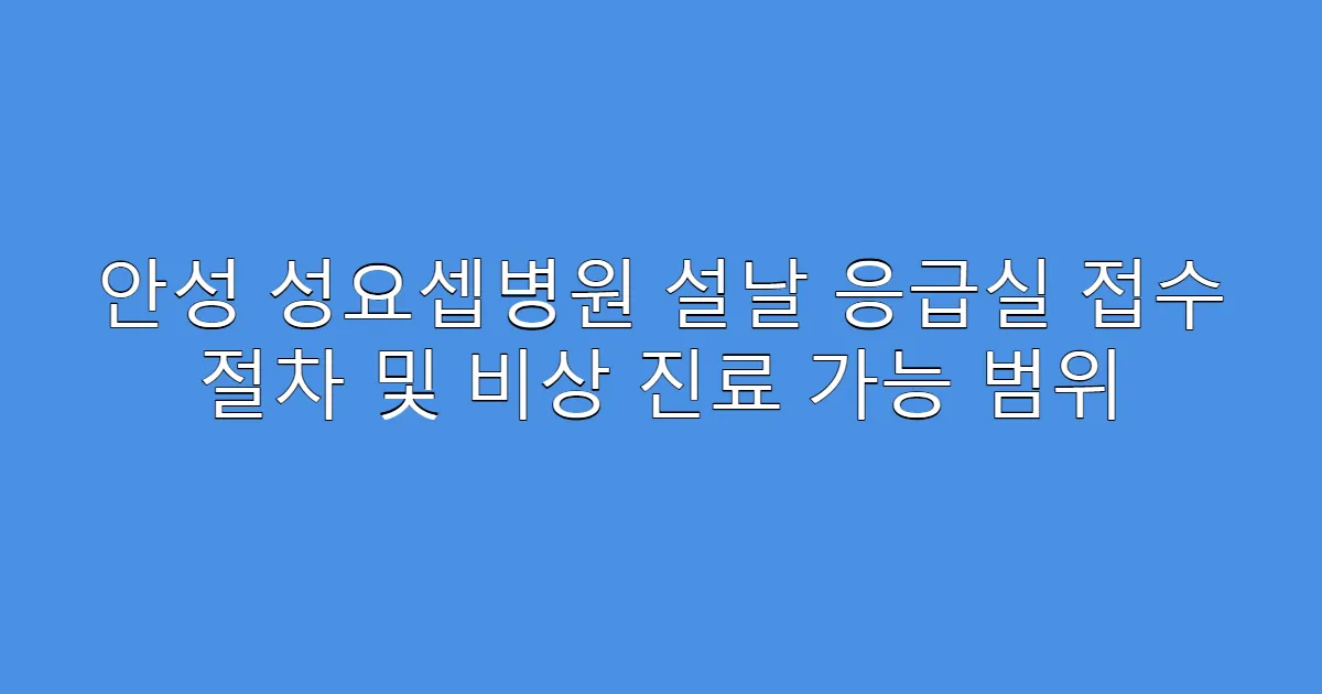 안성 성요셉병원 설날 응급실 접수 절차 및 비상 진료 가능 범위