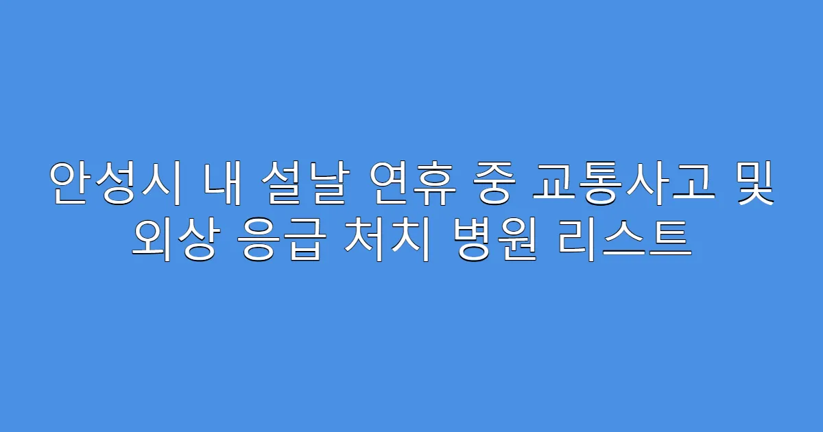 안성시 내 설날 연휴 중 교통사고 및 외상 응급 처치 병원 리스트