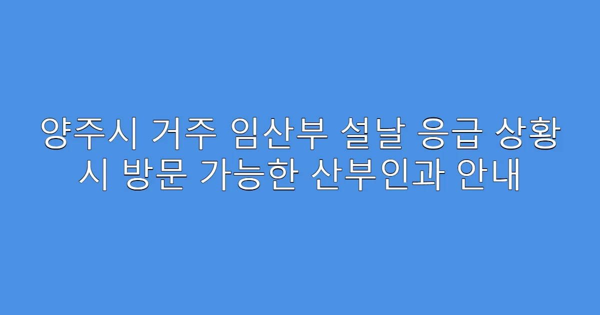 양주시 거주 임산부 설날 응급 상황 시 방문 가능한 산부인과 안내