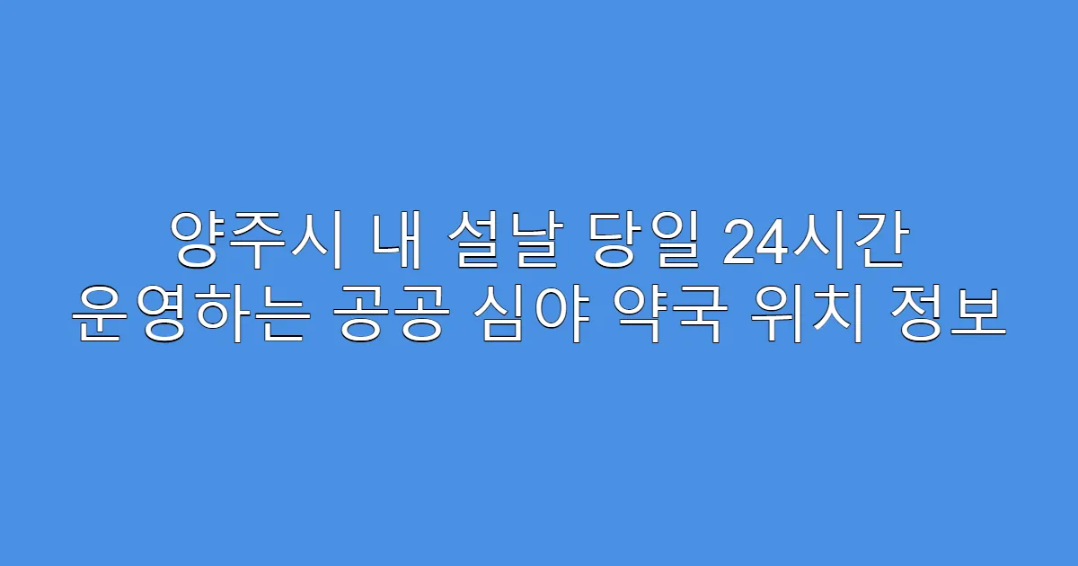 양주시 내 설날 당일 24시간 운영하는 공공 심야 약국 위치 정보