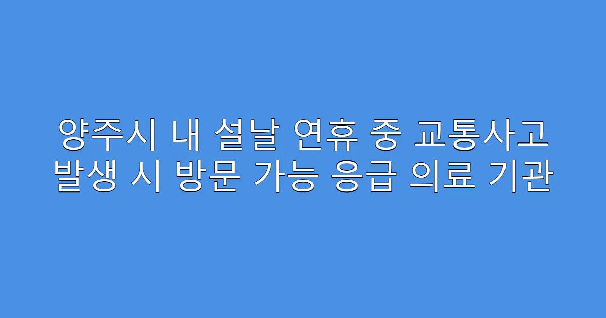 양주시 내 설날 연휴 중 교통사고 발생 시 방문 가능 응급 의료 기관