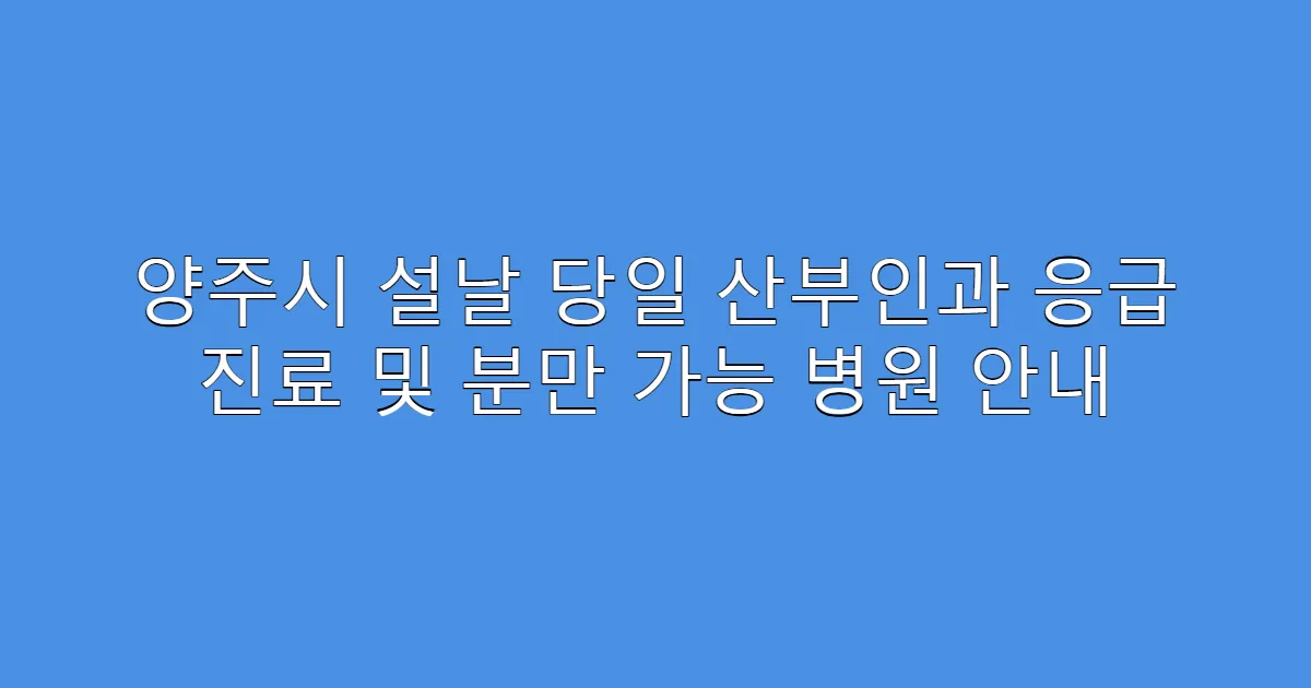 양주시 설날 당일 산부인과 응급 진료 및 분만 가능 병원 안내