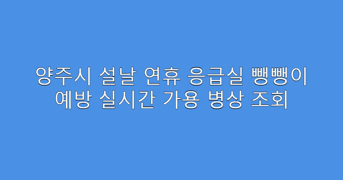 양주시 설날 연휴 응급실 뺑뺑이 예방 실시간 가용 병상 조회
