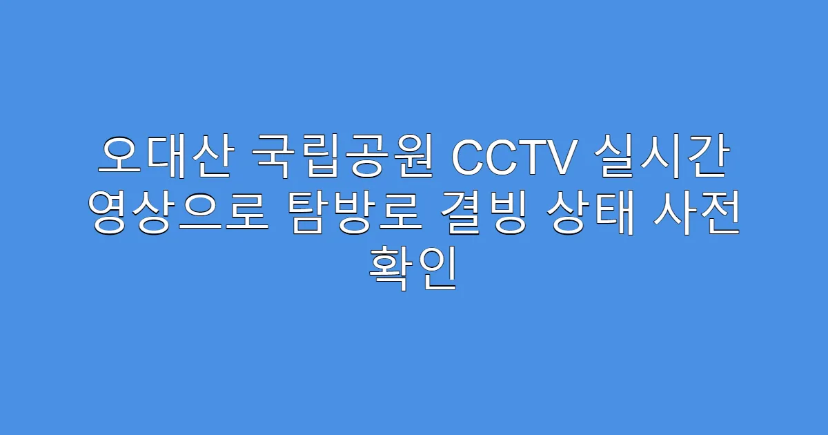 오대산 국립공원 CCTV 실시간 영상으로 탐방로 결빙 상태 사전 확인