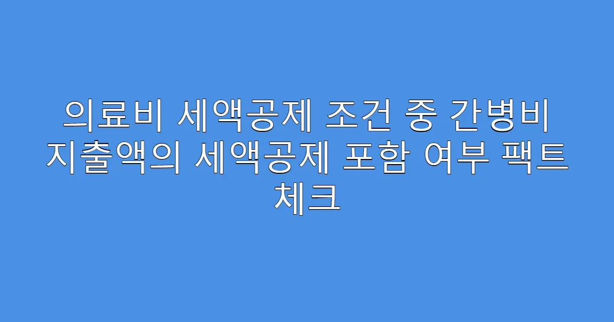 의료비 세액공제 조건 중 간병비 지출액의 세액공제 포함 여부 팩트 체크
