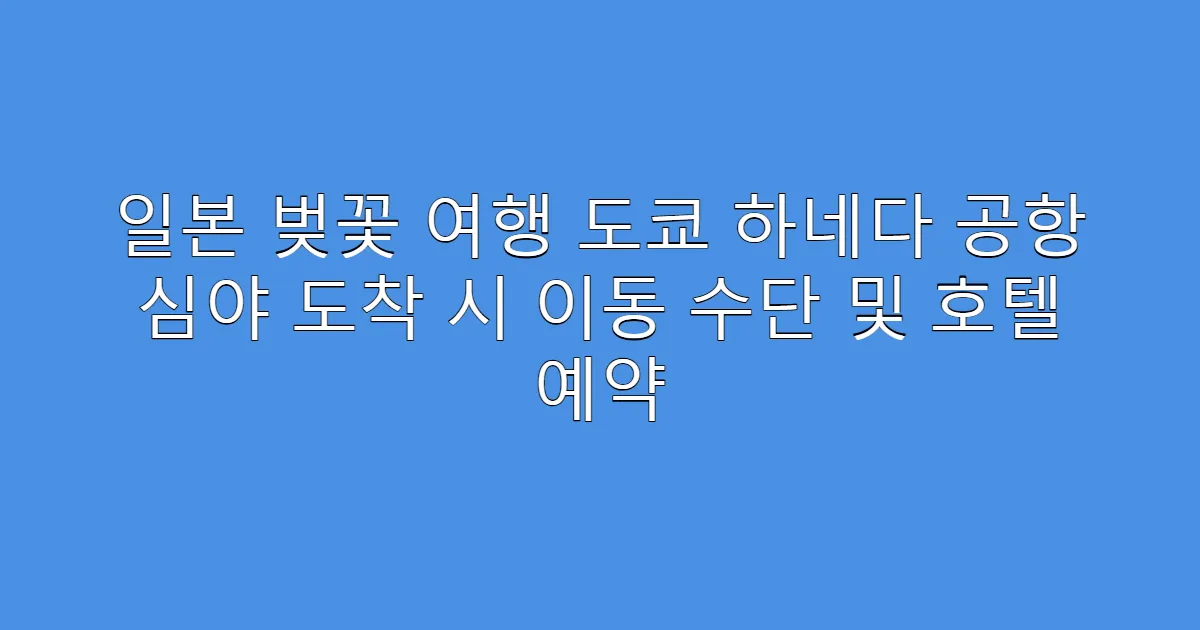 일본 벚꽃 여행 도쿄 하네다 공항 심야 도착 시 이동 수단 및 호텔 예약