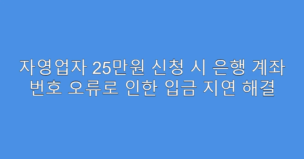 자영업자 25만원 신청 시 은행 계좌 번호 오류로 인한 입금 지연 해결