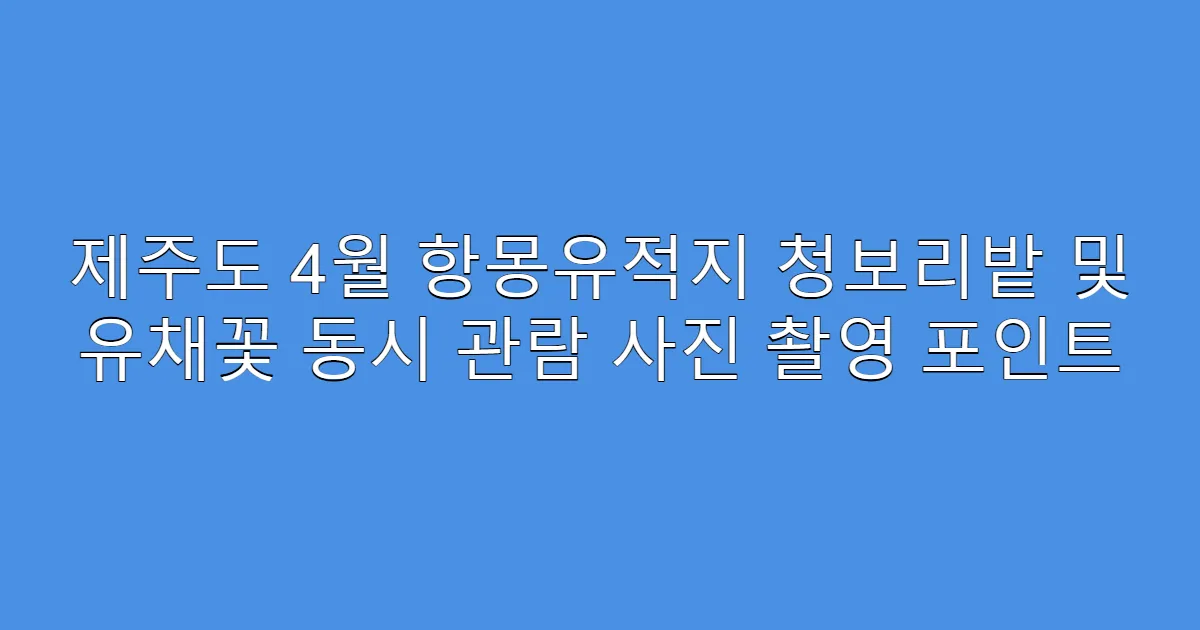 제주도 4월 항몽유적지 청보리밭 및 유채꽃 동시 관람 사진 촬영 포인트