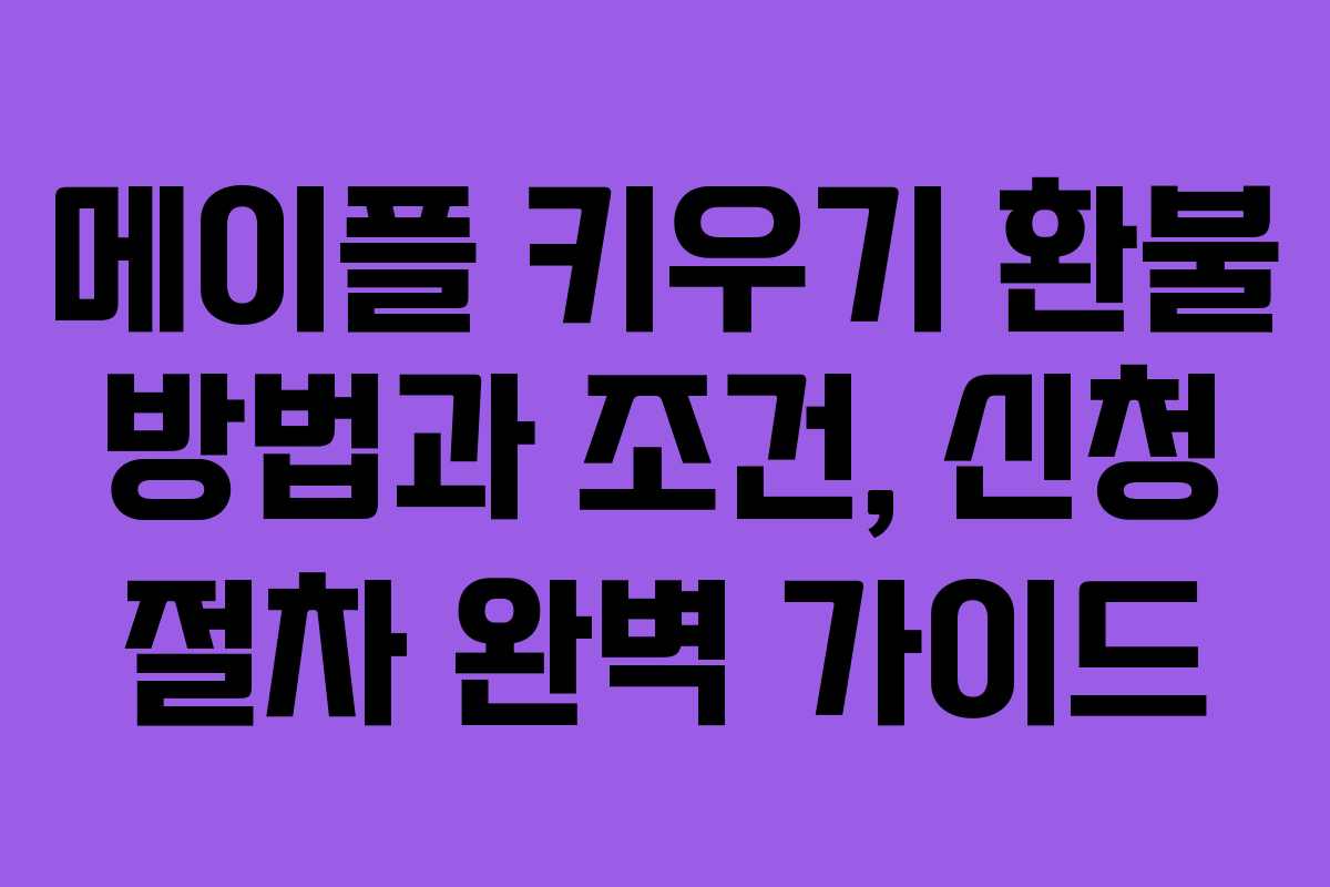 메이플 키우기 환불 방법과 조건, 신청 절차 완벽 가이드