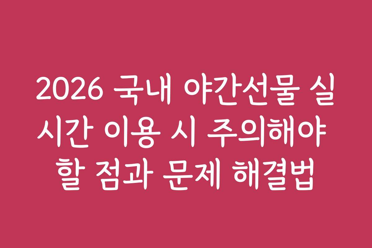 2026 국내 야간선물 실시간 이용 시 주의해야 할 점과 문제 해결법