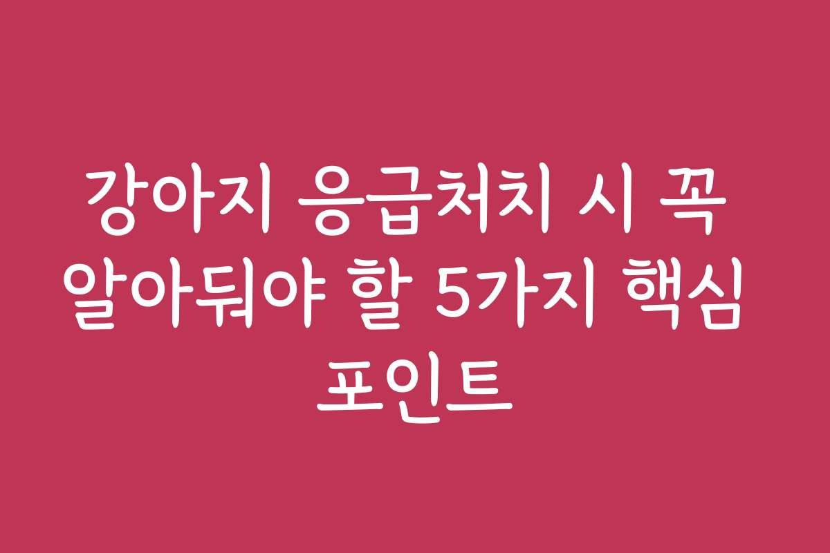 강아지 응급처치 시 꼭 알아둬야 할 5가지 핵심 포인트