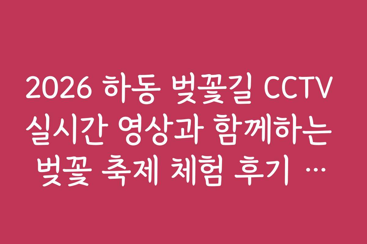 2026 하동 벚꽃길 CCTV 실시간 영상과 함께하는 벚꽃 축제 체험 후기 모음