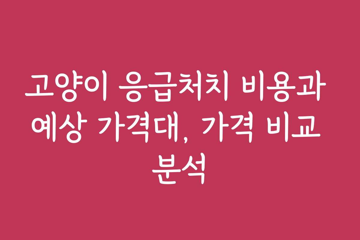 고양이 응급처치 비용과 예상 가격대, 가격 비교 분석