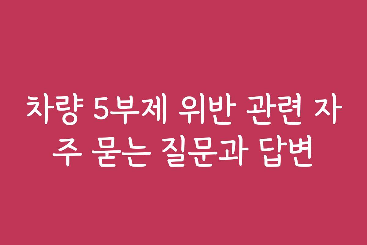차량 5부제 위반 관련 자주 묻는 질문과 답변