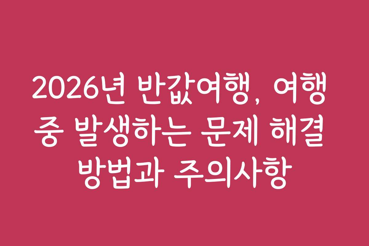 2026년 반값여행, 여행 중 발생하는 문제 해결 방법과 주의사항