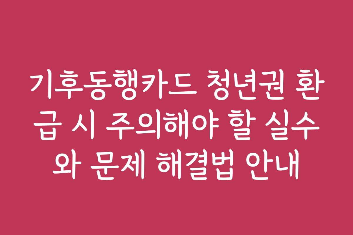 기후동행카드 청년권 환급 시 주의해야 할 실수와 문제 해결법 안내