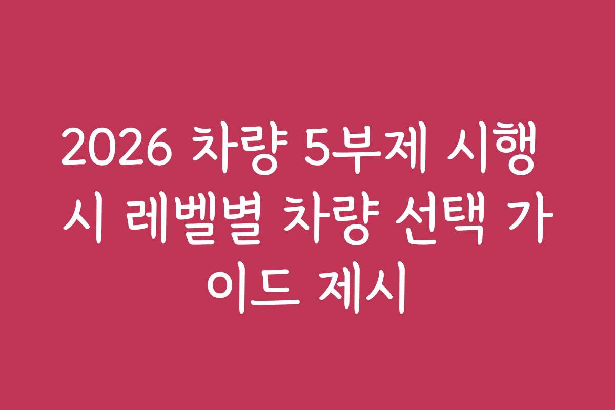 2026 차량 5부제 시행 시 레벨별 차량 선택 가이드 제시