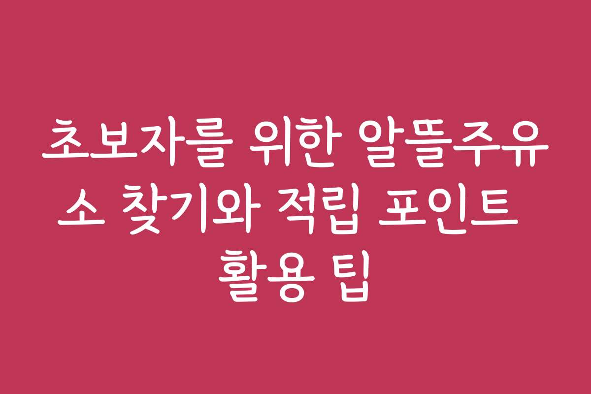 초보자를 위한 알뜰주유소 찾기와 적립 포인트 활용 팁