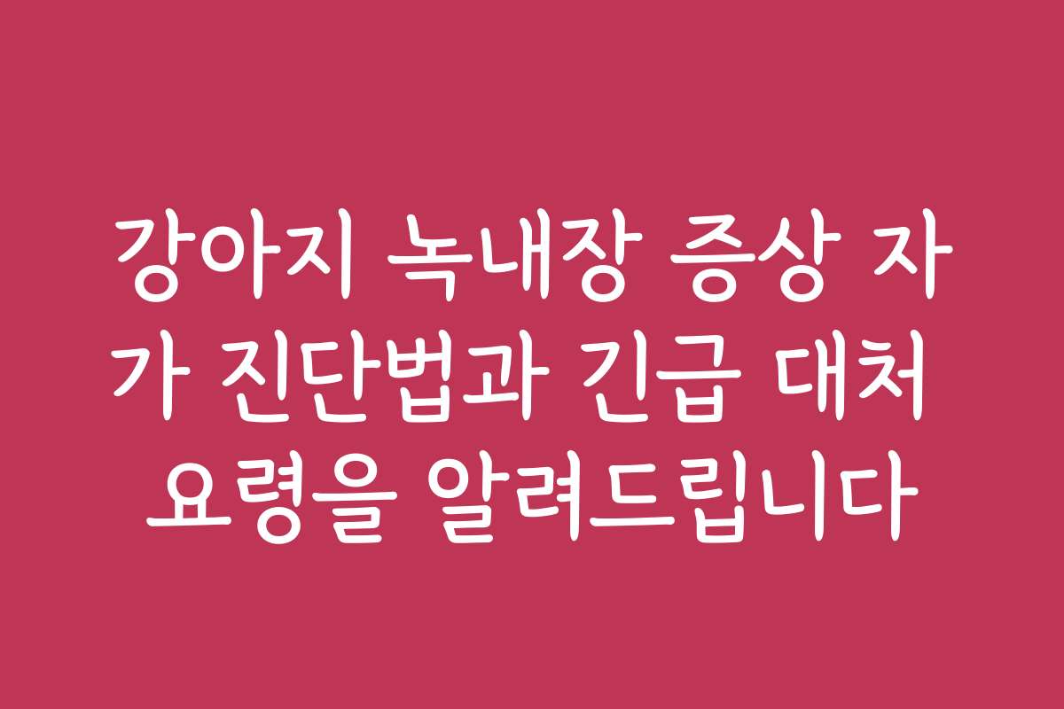 강아지 녹내장 증상 자가 진단법과 긴급 대처 요령을 알려드립니다