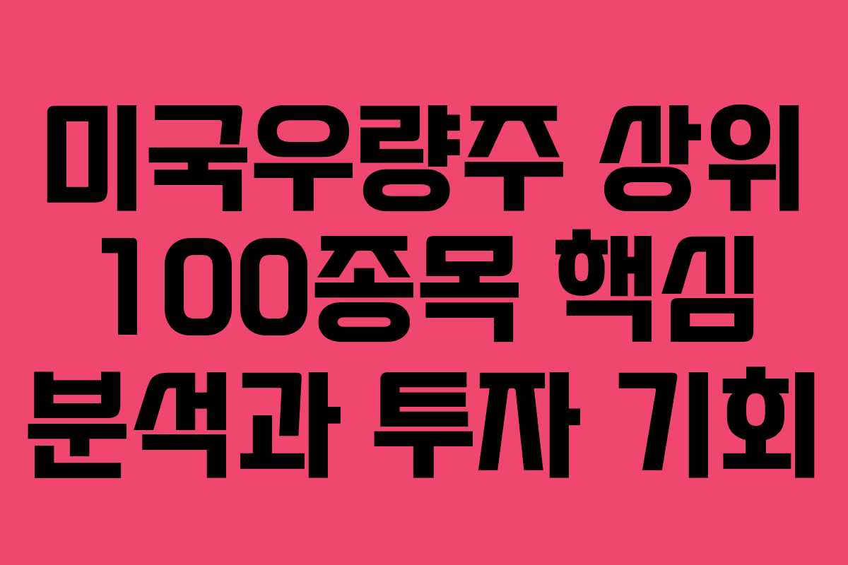 미국우량주 상위 100종목 핵심 분석과 투자 기회