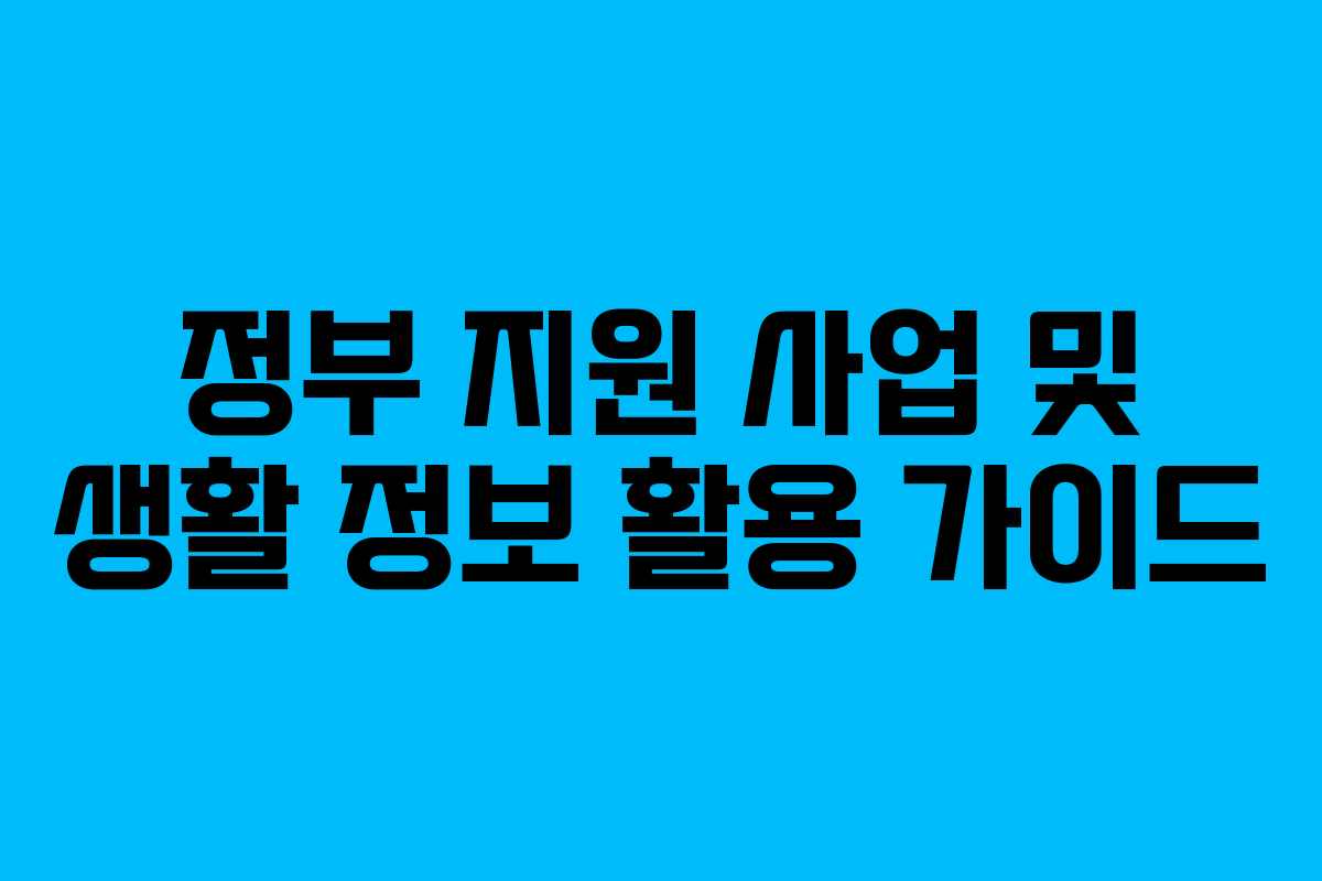 정부 지원 사업 및 생활 정보 활용 가이드