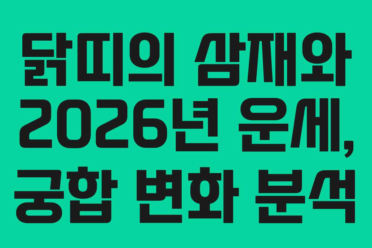 닭띠의 삼재와 2026년 운세, 궁합 변화 분석