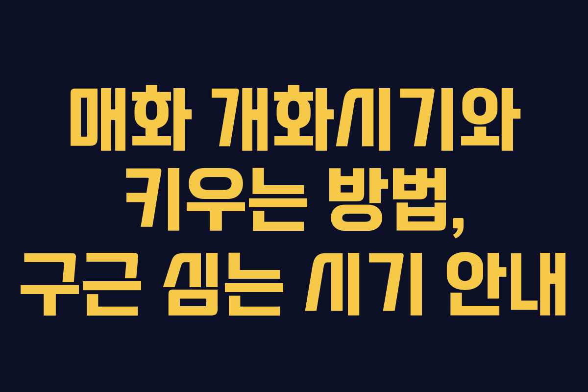 매화 개화시기와 키우는 방법, 구근 심는 시기 안내