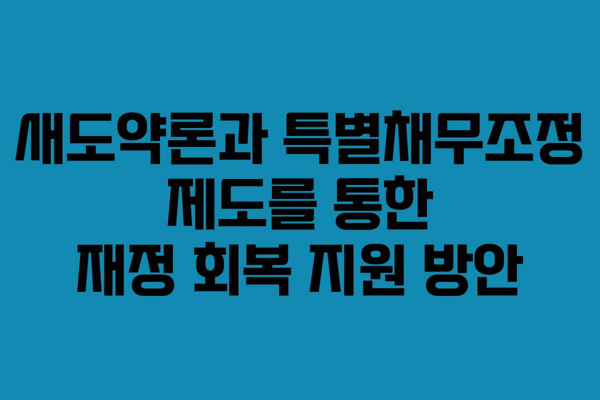 새도약론과 특별채무조정 제도를 통한 재정 회복 지원 방안