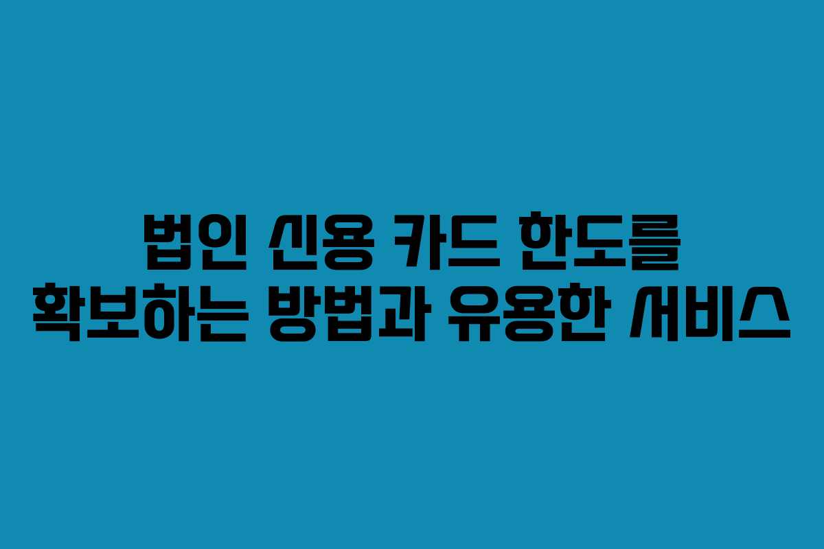 법인 신용 카드 한도를 확보하는 방법과 유용한 서비스
