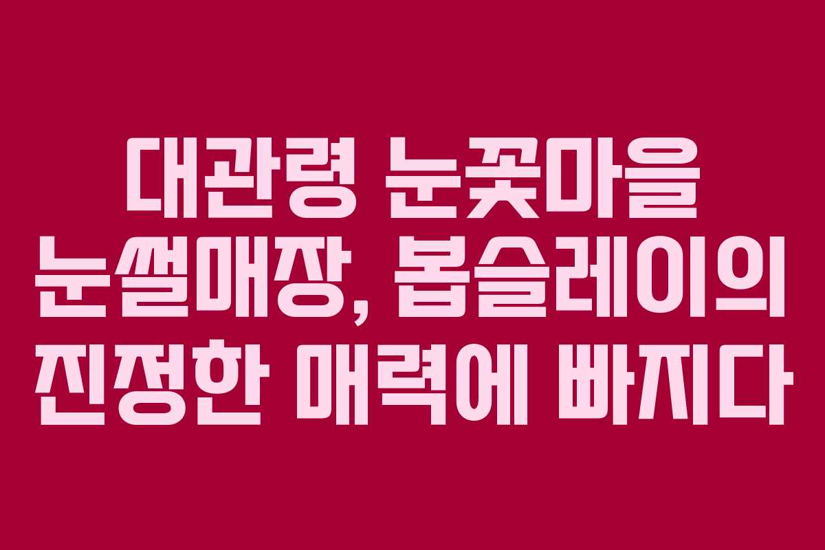 대관령 눈꽃마을 눈썰매장, 봅슬레이의 진정한 매력에 빠지다