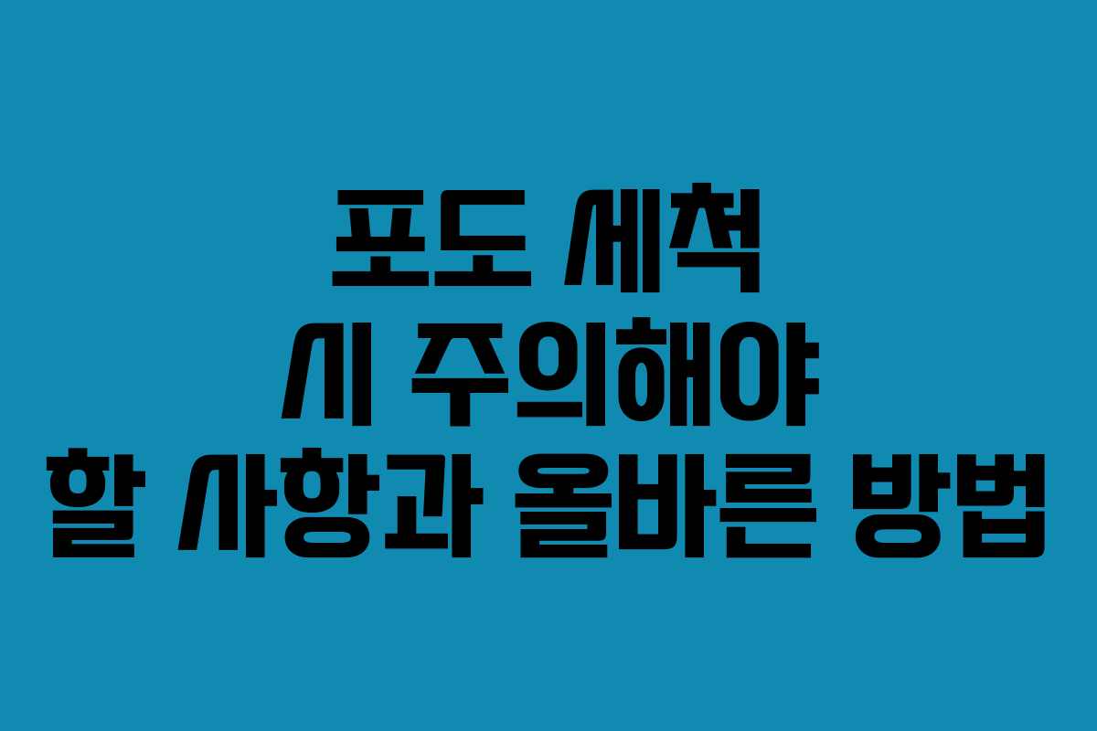 포도 세척 시 주의해야 할 사항과 올바른 방법