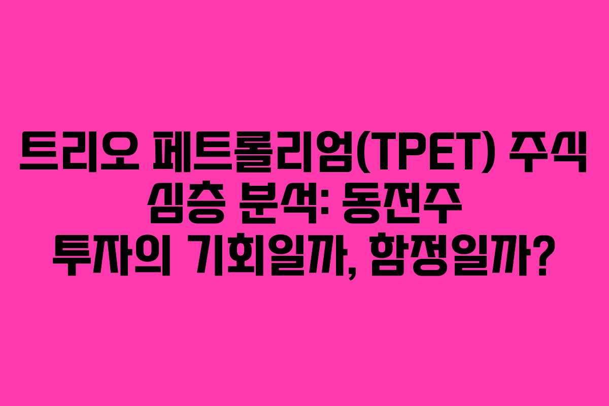트리오 페트롤리엄(TPET) 주식 심층 분석: 동전주 투자의 기회일까, 함정일까?