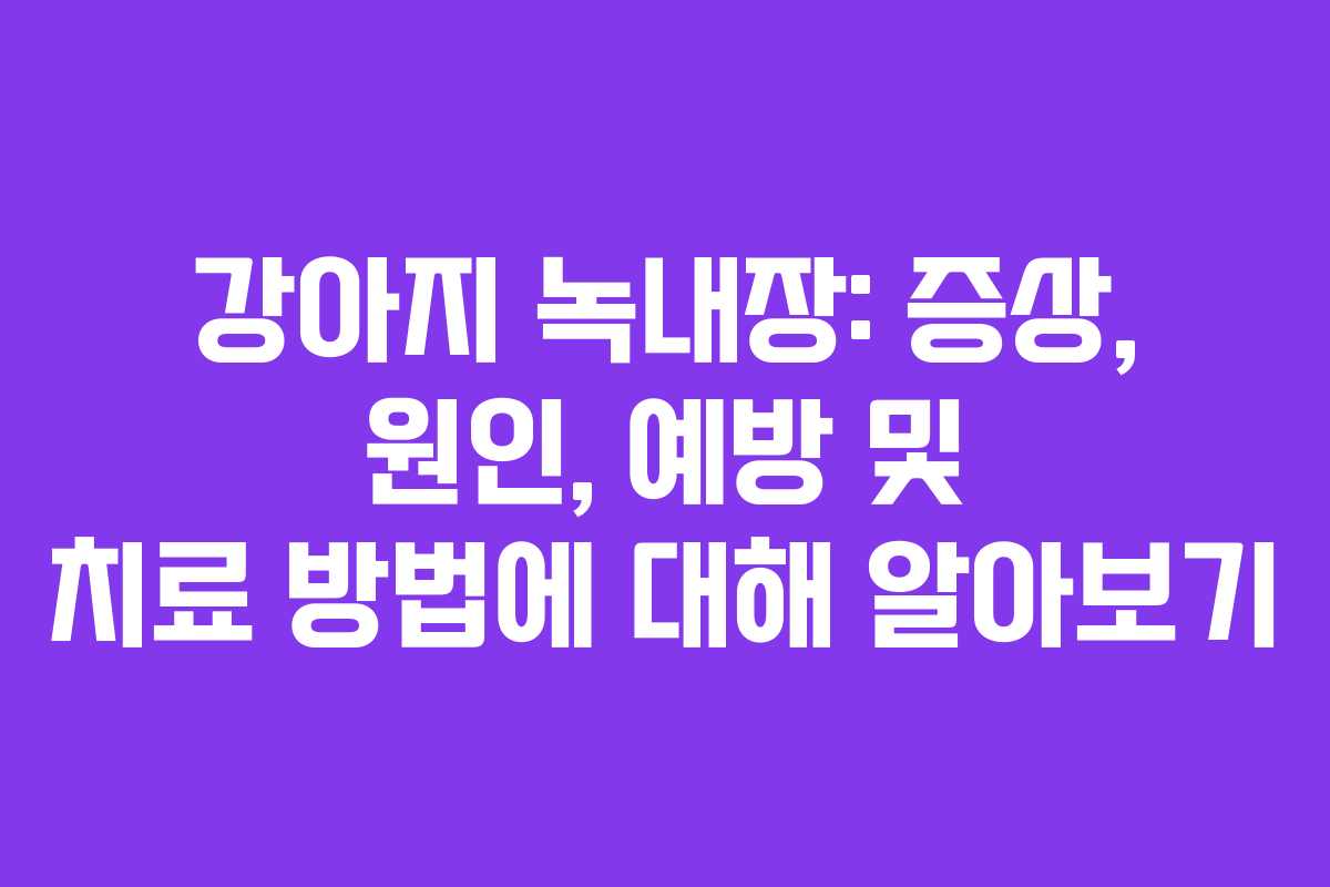 강아지 녹내장: 증상, 원인, 예방 및 치료 방법에 대해 알아보기